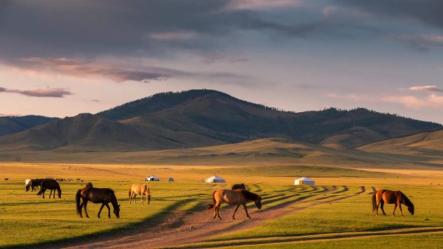 Монгол аялал